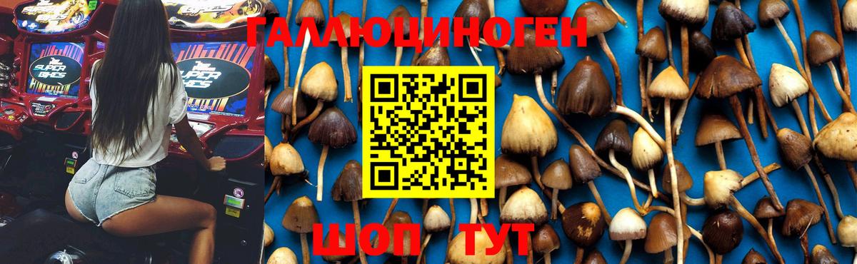 Галлюциногенные грибы Magic Shrooms Краснодар